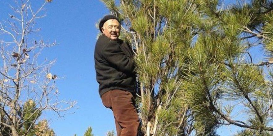 Kesilen Ağacın Altında Kalan Köylü Hayatını Kaybetti