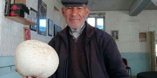 Niğde’de Dev Mantar Görenleri Şaşırttı