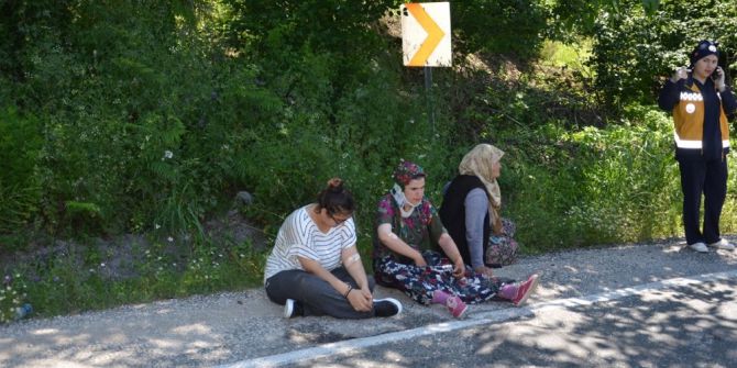 Patpat Fındık Tarlasına Uçtu: 2 Yaralı