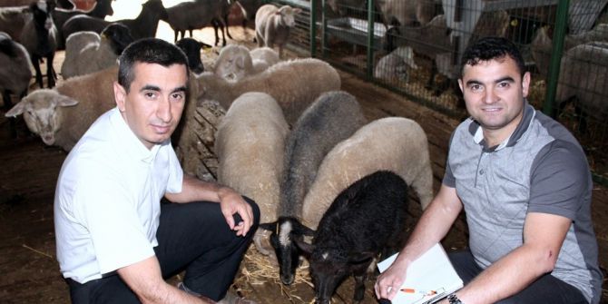 Rus Romanovlara Yoğun İlgi