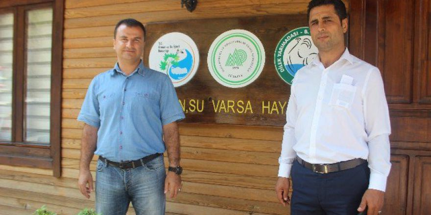 Artık Arıcılar Da Yöre Halkı Da Rahat Edecek