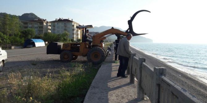 Kastamonu’da Sahile Şamandıra Vurdu