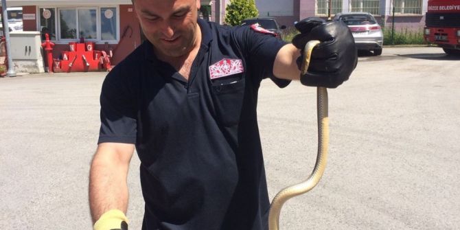 Otomobilin Motor Kısmına Giren Yılanı İtfaiye Ekipleri Çıkardı