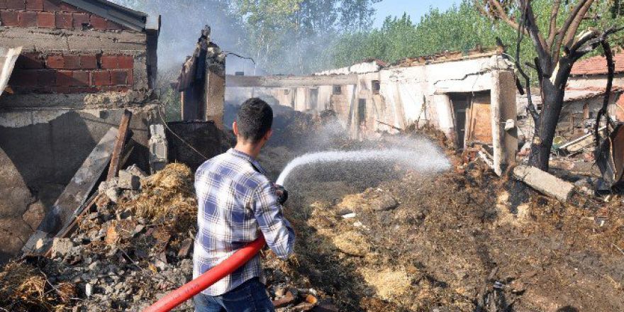 Samanlık Yangınında Hayvanlar Telef Oldu