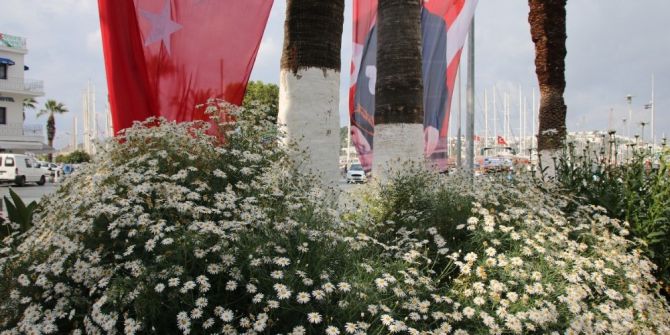 Bodrum’da Bayram Hazırlıkları