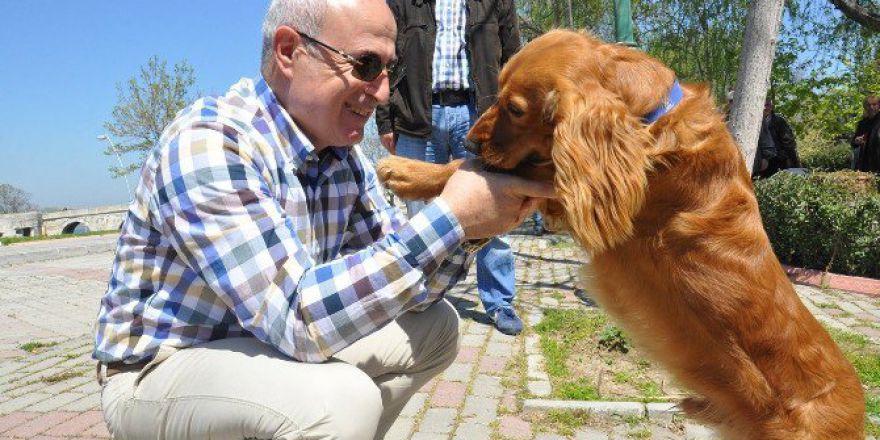 Büyükçekmece Belediyesi’nden Örnek Uygulama