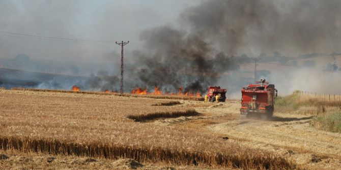 Ekili Alanda Yangın Çıktı