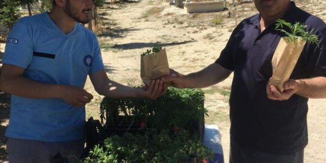 Büyükşehir Mezarlıklarda Fidan Dağıttı