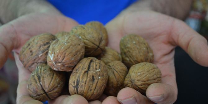 Bayram Baklavasının Olmazsa Olmazı Cevize Talep Arttı