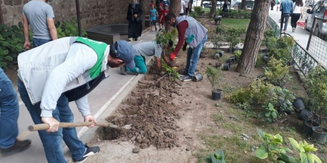 İzmit’teki Parklara Mevsimlik Çiçekler Dikiliyor