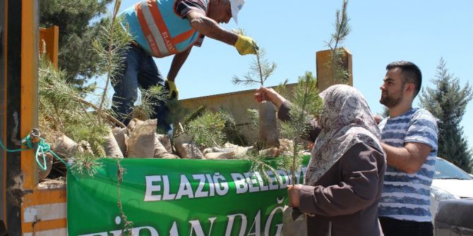 Elazığ’da Mezarlıklarda 10 Bin Fidan Dağıtıldı