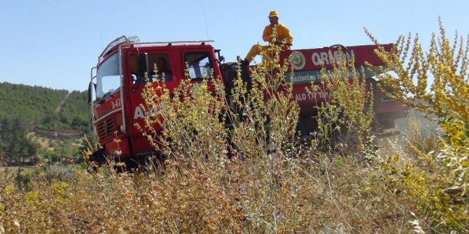 Ormana Yaklaşan Anız Yangını Korkuttu