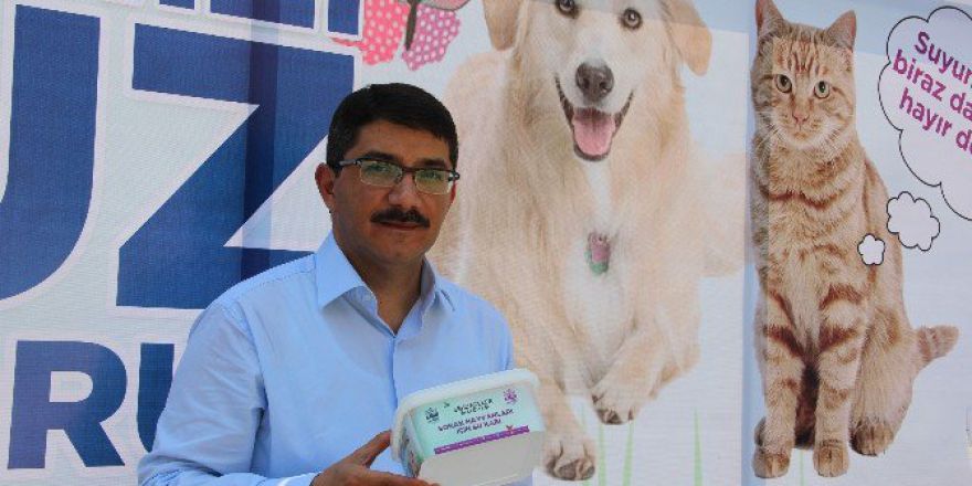 Sokak Hayvanları İçin 5 Bin Su Kabı