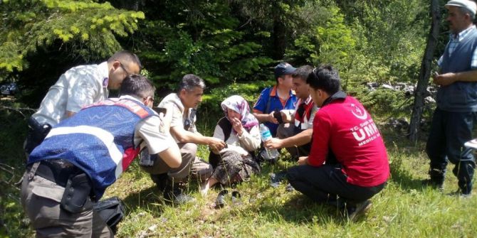Kaybolan Zihinsel Engelli Kadın Ormanlık Alanda Bulundu
