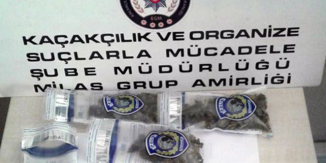 Milas’ta Yol Kontrolünde Termostan Esrar Çıktı