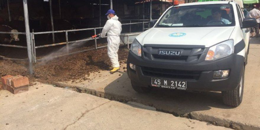 Büyükşehir ‘Afrika Hastalığı’na Savaş Açtı