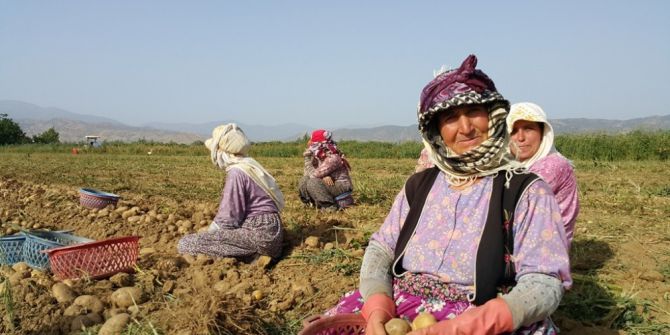 Patates Fiyatları Düştü, Üretici Ne Yapacağını Şaşırdı