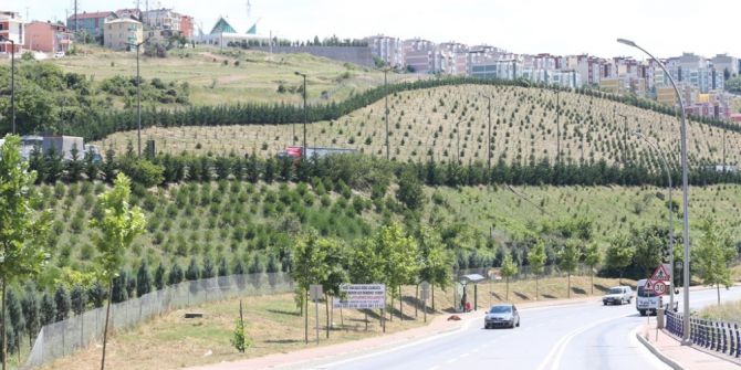 Kocaeli’nin Dört Bir Yanı Ağaçlandı