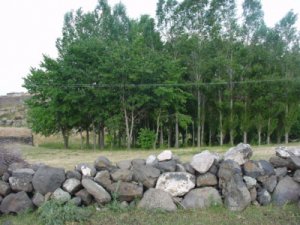 Kars Eşmeyazı Köyü