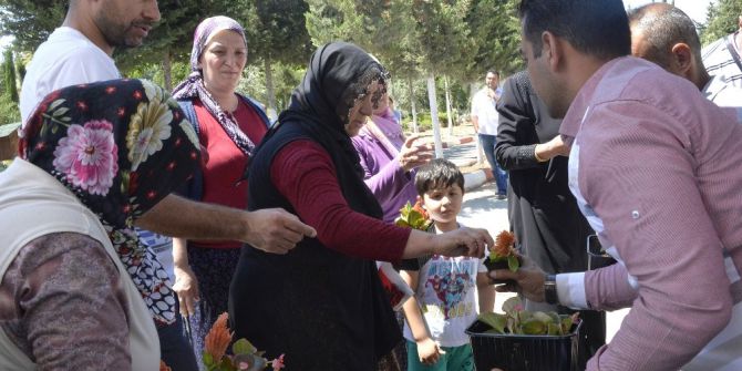 Mezarlık Ziyaretine Gelenlerin Kucakları Çiçeklerle Doldu