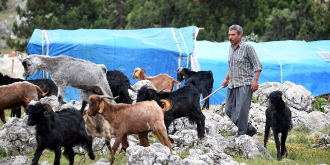 Mersin’de Hayvan Destekleri Hayvancılık İçin Umut Oluyor