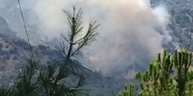 Sultanhisar’da Orman Yangını