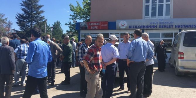 Ankara’da Arı Sokan Bir Kişi Hayatını Kaybetti