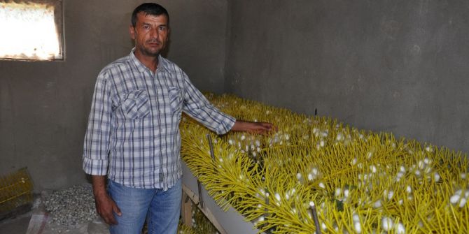 Bayram Şekeri Yerine İpek Kozası Dağıttılar