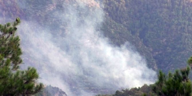 Denizli’de Orman Yangını
