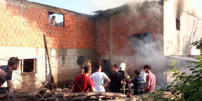 Alevlerin Sardığı Ahırdan Hayvanlar Son Anda Kurtarıldı