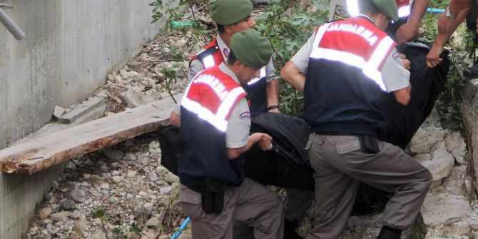 Ağaçta Elektrik Akımına Kapılan Genç Öldü