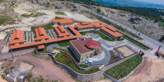 Sokak Hayvanları Yalnız Kalmıyor