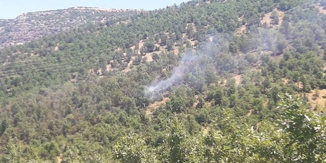 Adıyaman’da Orman Yangını