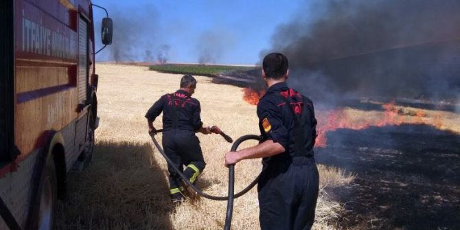 Anız Yangınında Ağaçlar Ve Elektrik Direkleri Yandı