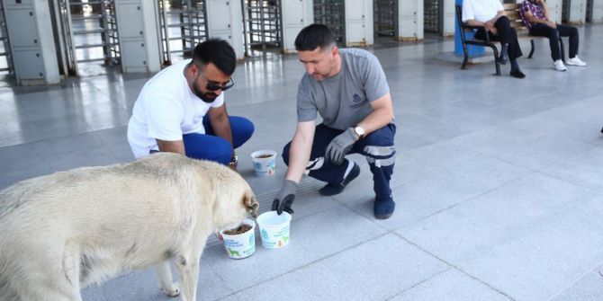 Başakşehir’de Sokak Hayvanları Sıcak Havada Da Yalnız Değil