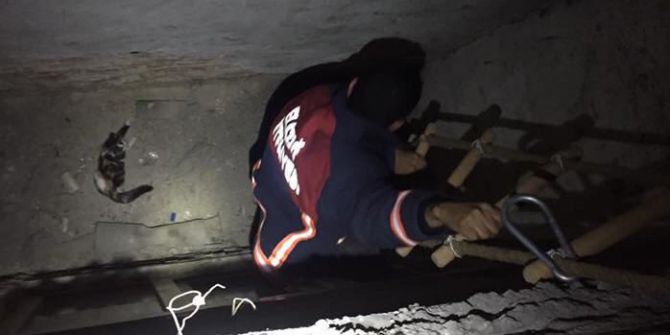 Havalandırma Boşluğuna Düşen Kediyi İtfaiye Kurtardı