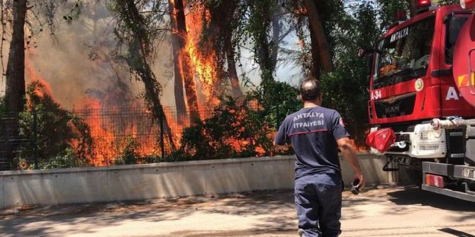 Antalya’da 5 Dönümlük Orman Yandı