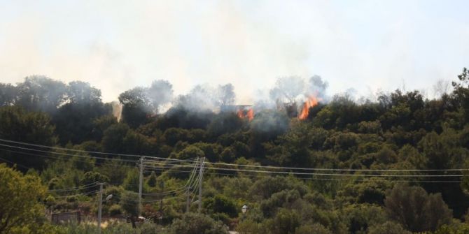 İzmir’de Korkutan Yangın