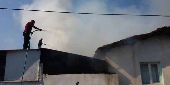 Üç Binanın Zarar Gördüğü Yanında Hayvanlar Telef Oldu