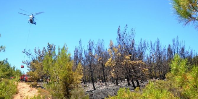Çay Demlemek İsterken 2 Dönümlük Ormanlık Alanı Kül Ettiler