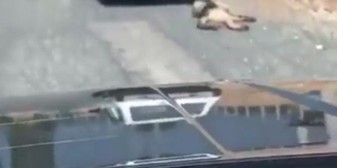 Otomobilin Arkasına Bağlanıp Sürüklenen Köpek Kurtarıldı