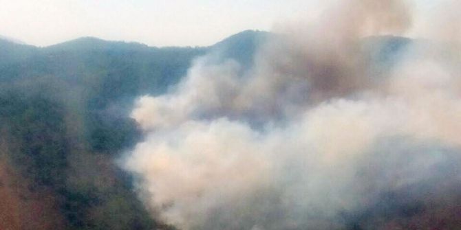 Milas’ta Ziraat Alanında Başlayan Yangın Ormanı Yaktı