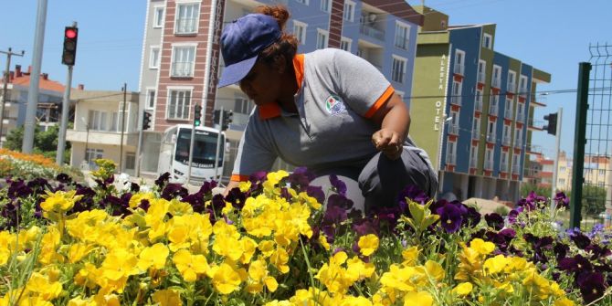 Bu İlçeyi Kadınlar Güzelleştiriyor