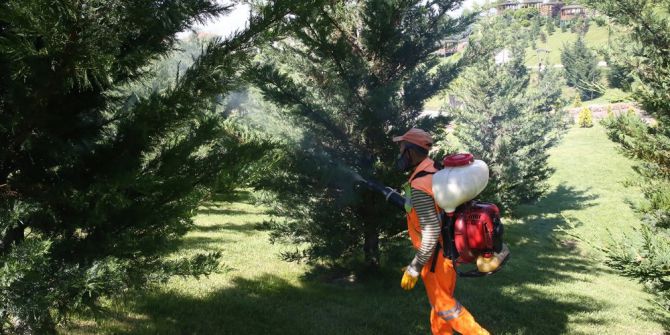 Sincan Belediyesinden İlaçlama Seferberliği