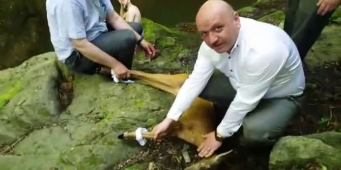 Kanyona Düşen Karacayı Kurtarma Operasyonu