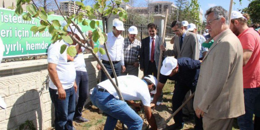 Yozgat Sürmeli Etkinliklerinde Fidan Dikilip, Temizlik Yapıldı