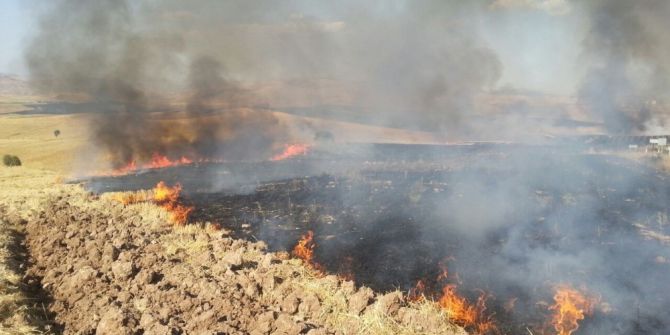 Siirt’te Anız Yangını