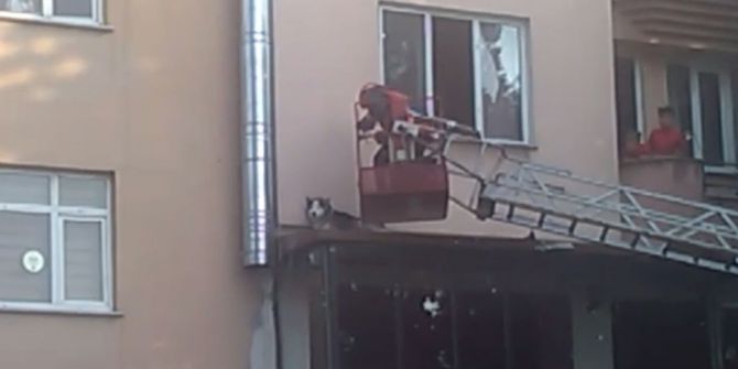 Tente Üstünde Mahsur Kalan Köpeğin Yardımına İtfaiye Yetişti