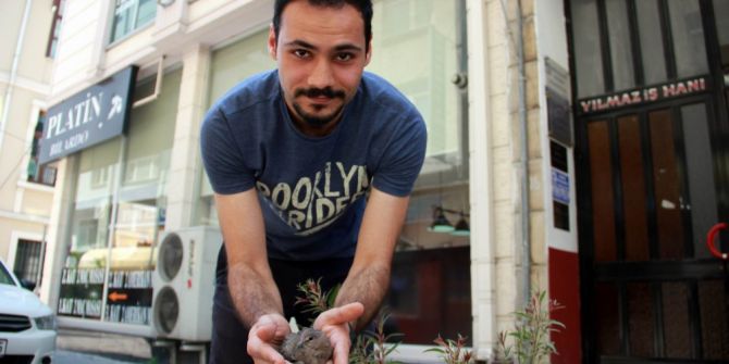 Yaralı Güvercine Esnaf Şefkati