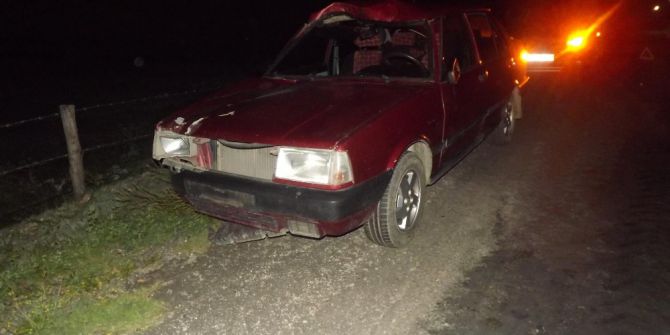 Daday’da Otomobilin Çarptığı At Telef Oldu